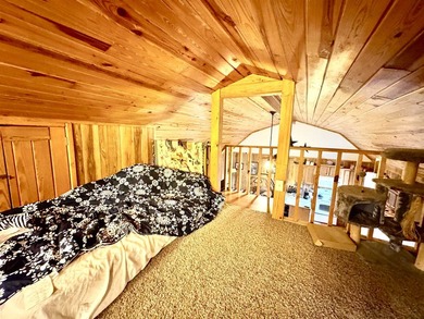 Escape to the beauty of the Ozarks with this charming 1 bedroom - photo 6