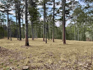 Escape to the beauty of the Ozarks with this charming 1 bedroom - photo 8