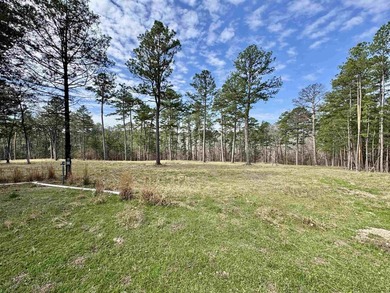 Escape to the beauty of the Ozarks with this charming 1 bedroom - photo 9
