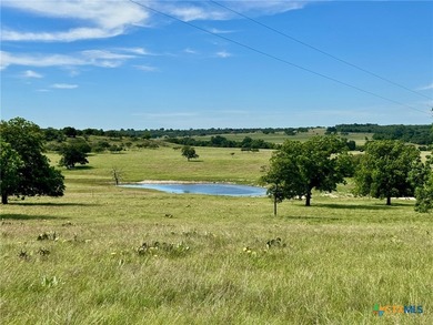 (private lake, pond, coastal) Home For Sale in Goldthwaite Texas