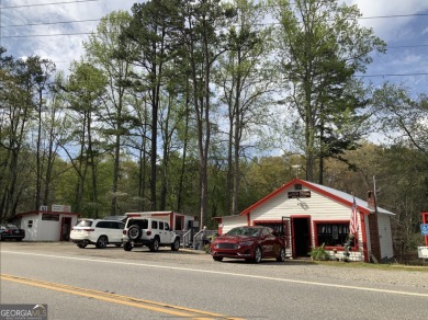Lake Nottely Commercial For Sale in Blairsville Georgia