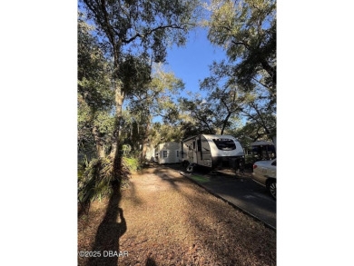 Lake Lot For Sale in Salt Springs, Florida