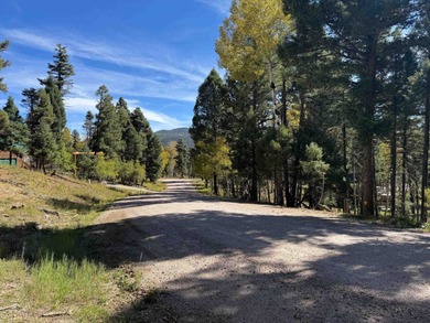Monte Verde Lake Lot For Sale in Angel Fire New Mexico