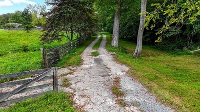 Buckshoal Farm's 222.33-acre offering represents a rare - photo 11