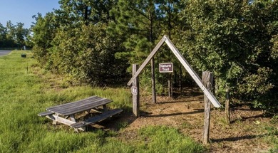This lot has an incredible view overlooking Lake Maumelle, The - photo 12