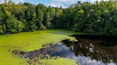 Buckshoal Farm's 222.33-acre offering represents a rare - photo 18