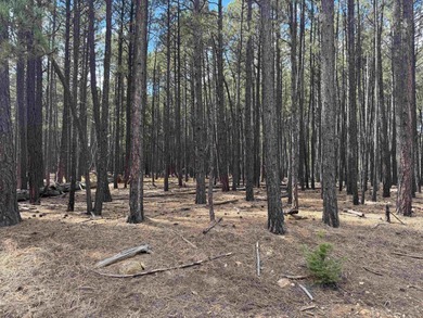 Monte Verde Lake Lot For Sale in Angel Fire New Mexico