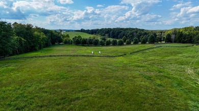 Buckshoal Farm's 222.33-acre offering represents a rare - photo 23