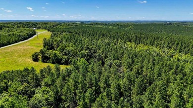Buckshoal Farm's 222.33-acre offering represents a rare - photo 29