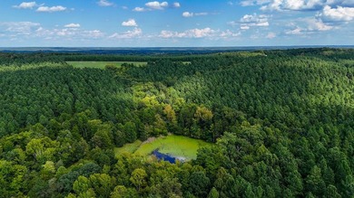 Buckshoal Farm's 222.33-acre offering represents a rare - photo 30