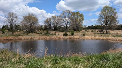 (private lake, pond, creek) Acreage For Sale in Ash Flat Arkansas