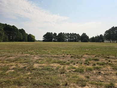 Lake Acreage For Sale in Athens, Texas