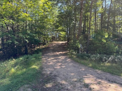 Lake Lot For Sale in Eagle River, Wisconsin