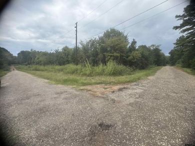 Lake Palestine Lot For Sale in Bullard Texas