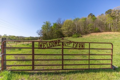 Lake Acreage For Sale in Mena, Arkansas