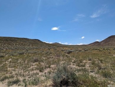 Carson River Acreage For Sale in Fallon Nevada