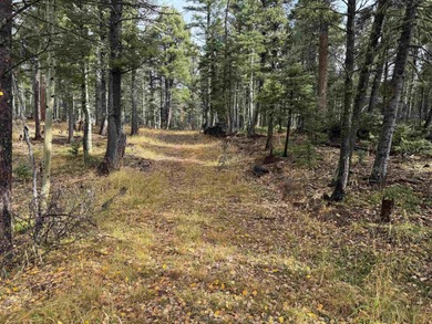 Monte Verde Lake Lot For Sale in Angel Fire New Mexico