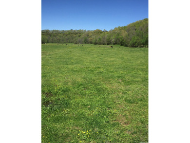 (private lake, pond, creek) Acreage For Sale in Marshall Arkansas