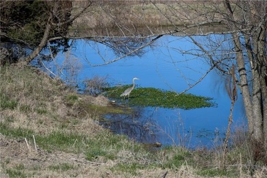Fifteen acres in northeast Fayetteville! Through the gated entry - photo 3