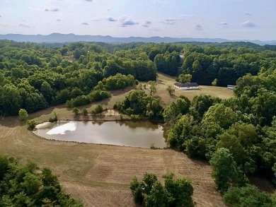 Lake Home For Sale in Irvine, Kentucky