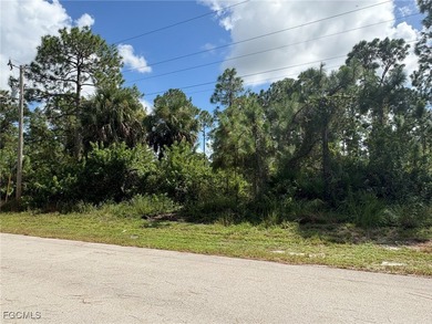 Lehigh Acres Area Lot For Sale in Lehigh Acres Florida