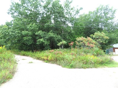 Hat Rapids Flowage Lot For Sale in Rhinelander Wisconsin