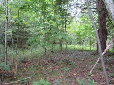 Vacant parcel of land that is highly visible and has great - photo 2