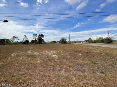 Beautiful CORNER residential lot in a rapidly growing area of - photo 3