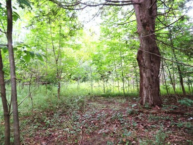 Vacant parcel of land that is highly visible and has great - photo 3