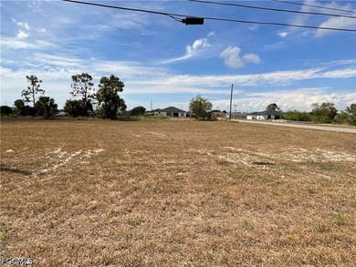 Beautiful CORNER residential lot in a rapidly growing area of - photo 4