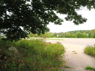 Vacant parcel of land that is highly visible and has great - photo 4