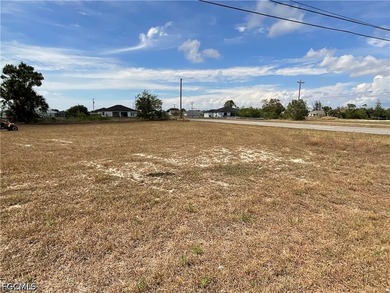 Beautiful CORNER residential lot in a rapidly growing area of - photo 5
