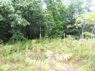 Vacant parcel of land that is highly visible and has great - photo 5