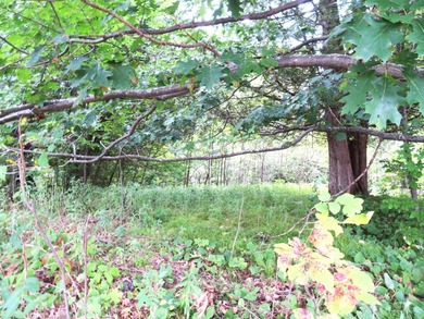 Vacant parcel of land that is highly visible and has great - photo 6