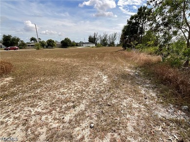 Beautiful CORNER residential lot in a rapidly growing area of - photo 7