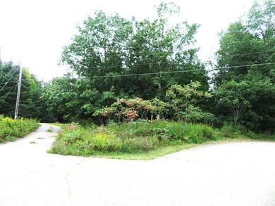 Vacant parcel of land that is highly visible and has great - photo 9
