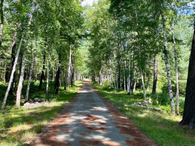 Lake Home For Sale in Tomahawk, Wisconsin