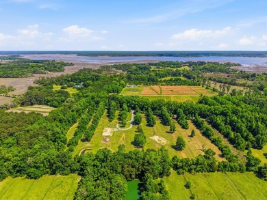 Welcome to this expansive 12.25-acre property in the heart of - photo 9