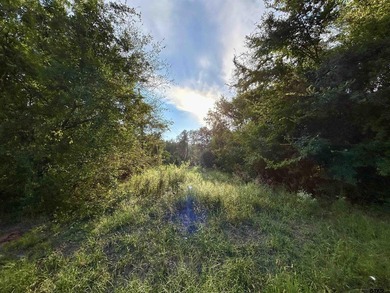 This beautiful property offers just under 3 acres of opportunity - photo 2