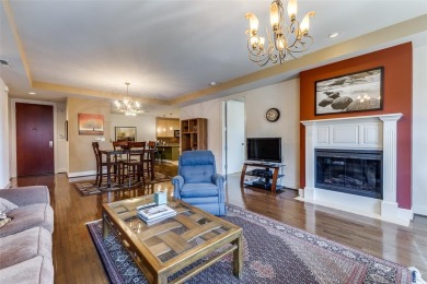 DOWNTOWN LUXURY 14th FLOOR UNIT being 1 of only 3 with this