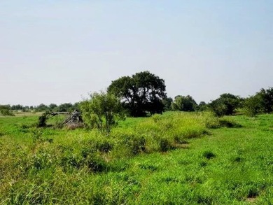 (private lake, pond, creek) Acreage For Sale in Whitesboro Texas