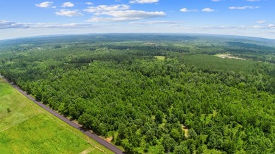 Located along CR 779 within the desirable Lake Nacogdoches Ranch - photo 2