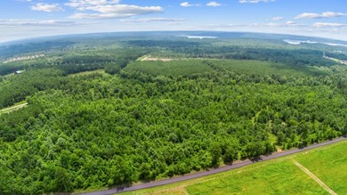 Located along CR 779 within the desirable Lake Nacogdoches Ranch - photo 4