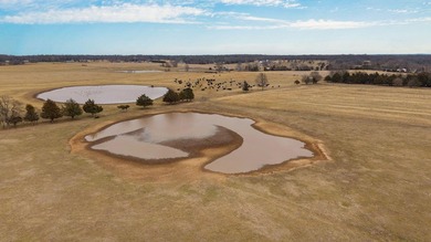 34+/- Acres with Million-Dollar Views - Willard School - photo 7
