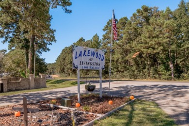 Lake Livingston Access - photo 25