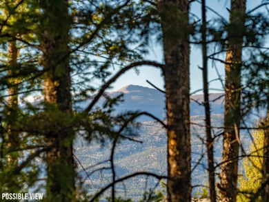 Monte Verde Lake Lot For Sale in Angel Fire New Mexico