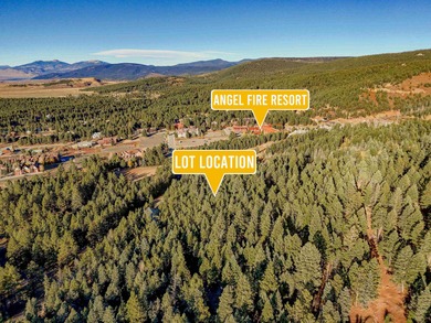 Prime Location - Just Steps from the Slopes! This is the closest - photo 3