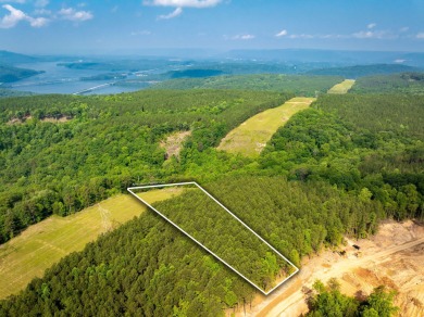 Lake Acreage For Sale in Guild, Tennessee