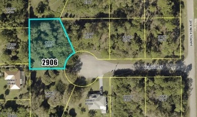 Lehigh Acres Area Lot For Sale in Lehigh Acres Florida