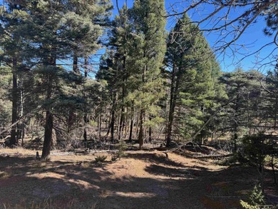 Monte Verde Lake Lot For Sale in Angel Fire New Mexico